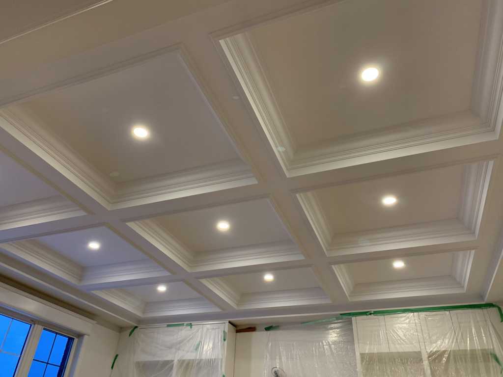 waffle ceiling and potlights in custom living room oakville
