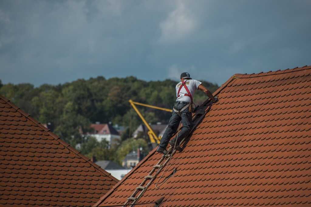 repair-the-roof